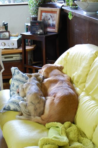 20110824-DSC_0006 07-08-23.jpg