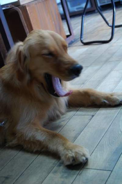 20110824-DSC_0008 16-32-23.jpg