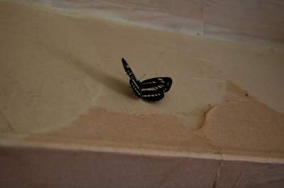 20110824-DSC_0026 14-47-09.jpg