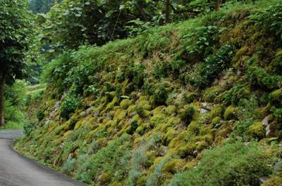 20110824-DSC_0012 08-42-59.jpg