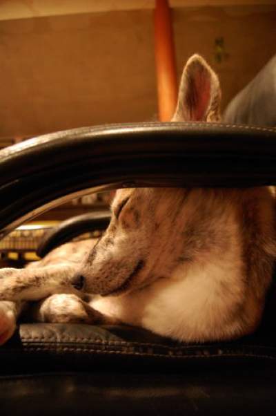 20110824-DSC_70 06-09-08.jpg